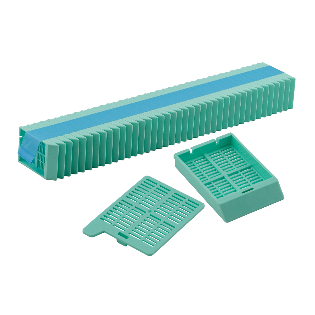 Biosigma BSI806 biocassetta istologia verde con coperchio
