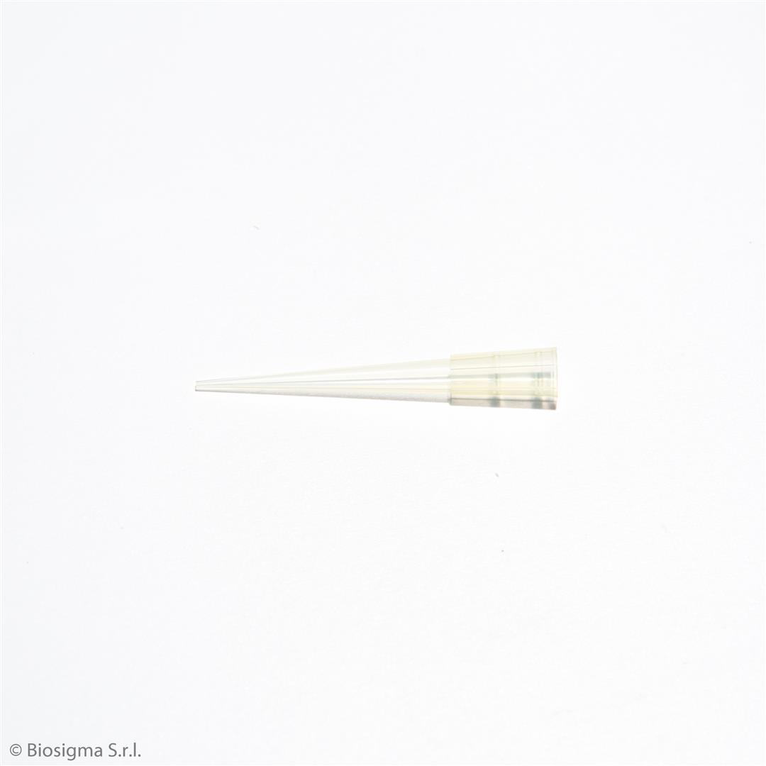 Biosigma BSR066 puntali gialli 200 µl tipo Gilson