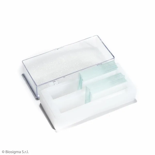 Biosigma VBS638 coprivetrino 24x32 mm vetro