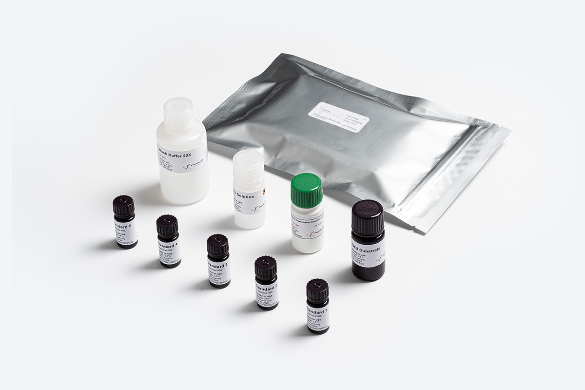 Prognosis Bio-Shield Adulteration Cow Cheese kit ELISA