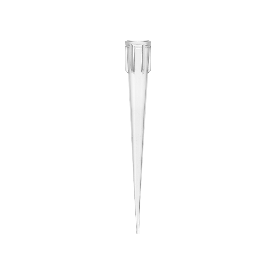FL MEDICAL Promed 28057 Puntale Beckman 100-1000 ul trasparente