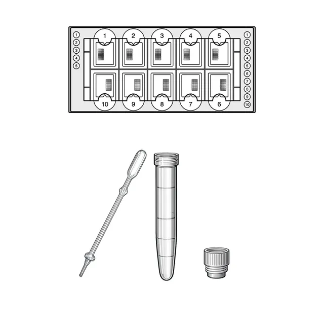 Biosigma BVS1719 kit lettura urina Fast-Read 1000 test