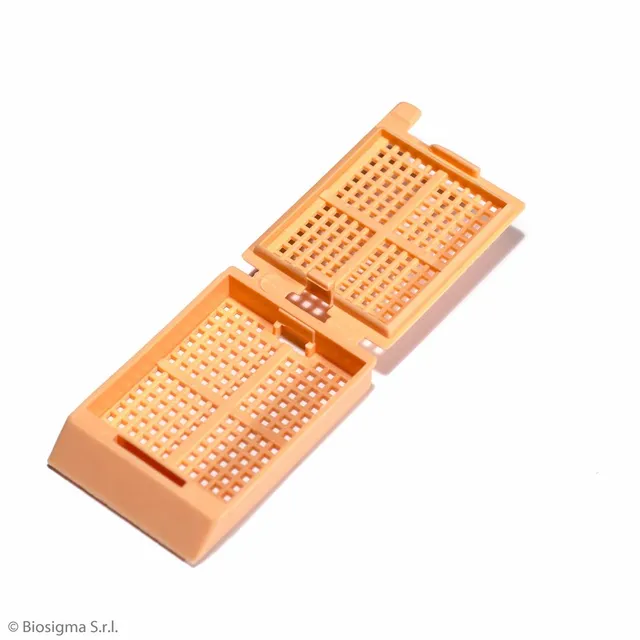 Biosigma BSI1037 cassette biopsia arancioni POM