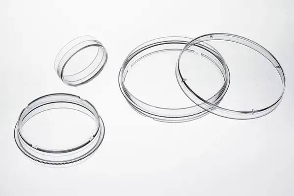 Biosigma ClearLine 131047C piastra Petri 60 mm trattata