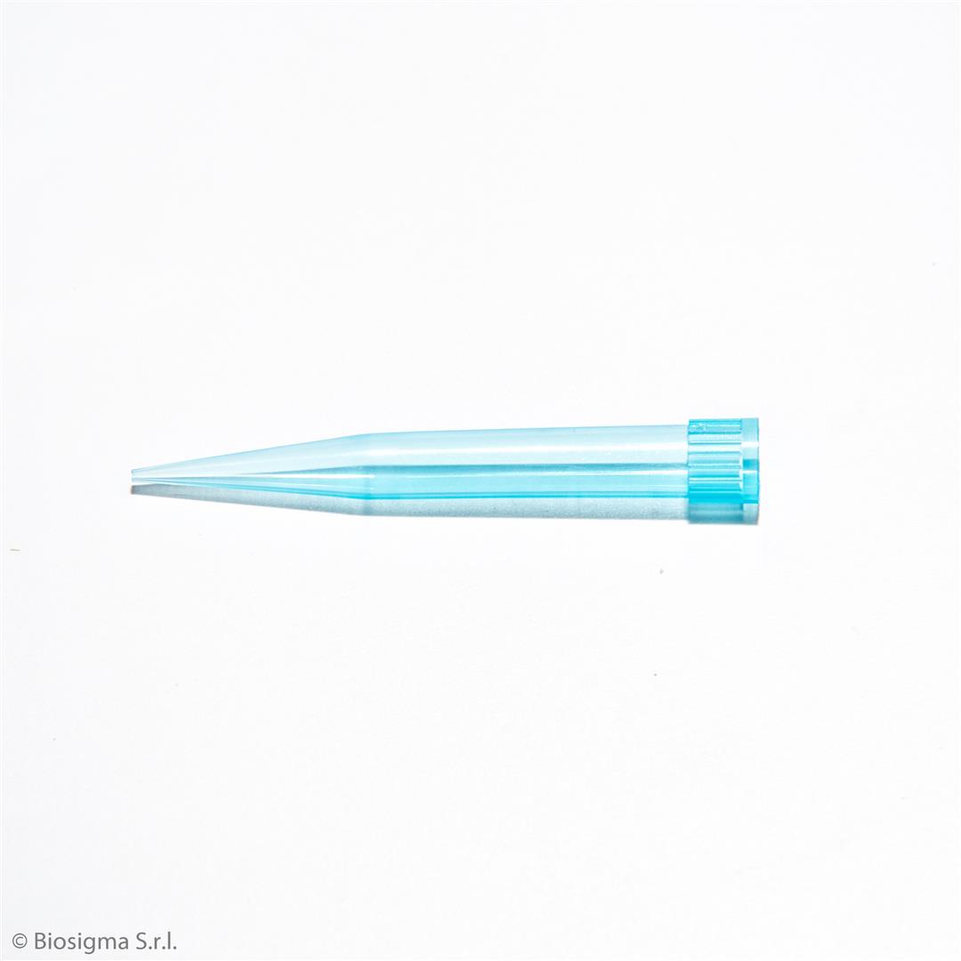 Biosigma BSR002 puntali per micropipetta 200-1000 µl azzurri