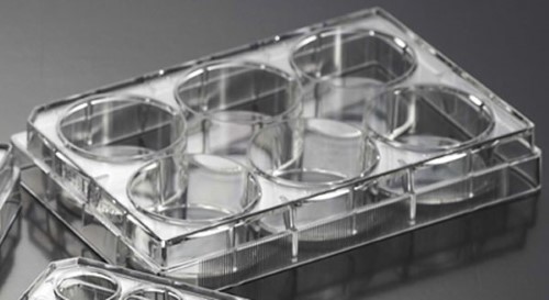 Biosigma ClearLine 131028C piastra coltura 6 pozzetti sterile 100 pz