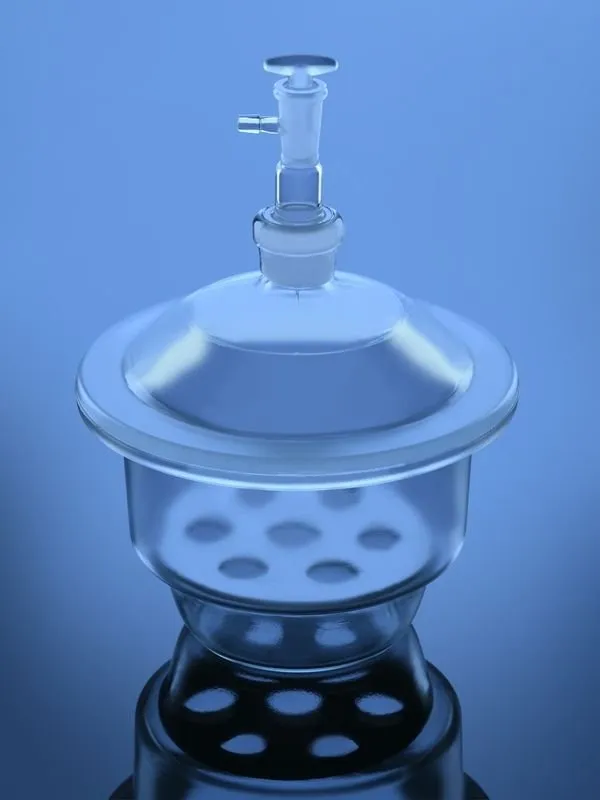 Glassco essiccatore sottovuoto con coperchio vetro laboratorio