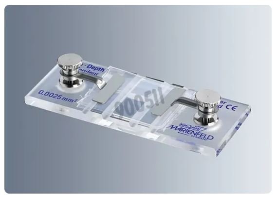 Biosigma 900511 camera di Neubauer doppia linea scura vetro