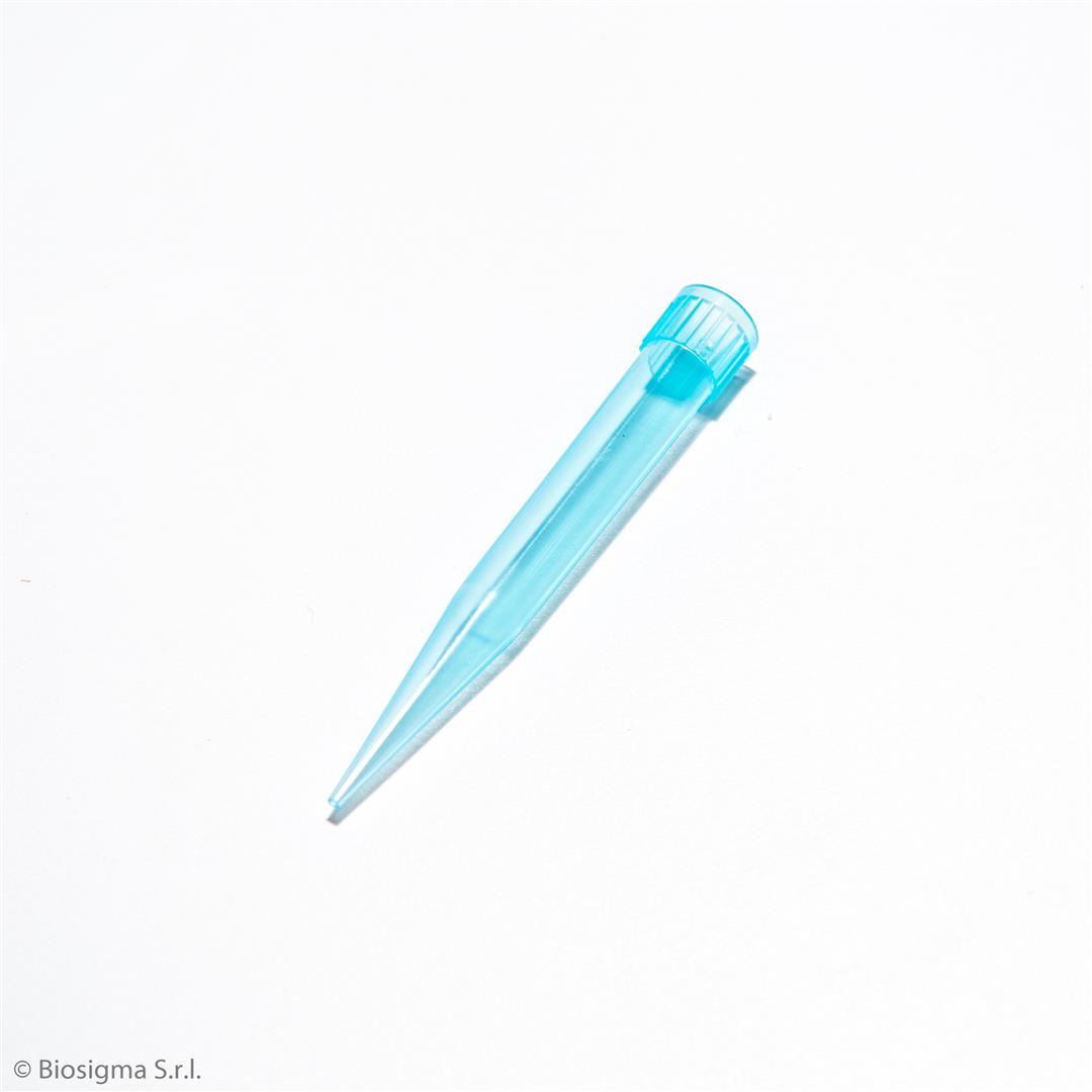 Biosigma BSR002 puntali per micropipetta 200-1000 µl azzurri
