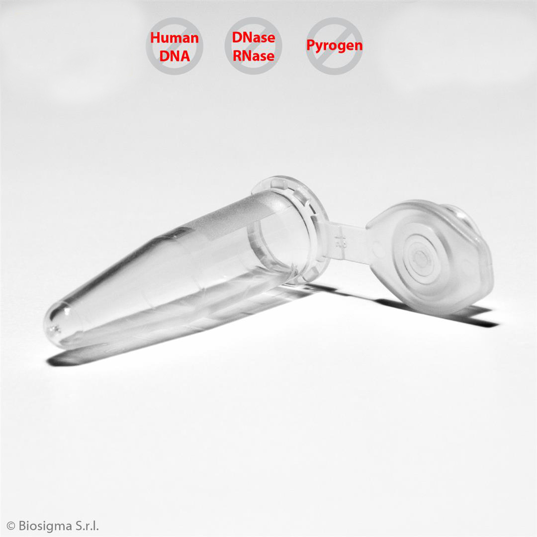 Biosigma Clearline CL022 microprovette 1,5 ml neutre 1000 pz