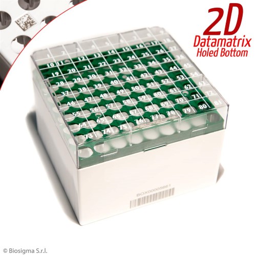 Biosigma CryoGen BSM580712D/V scatola criogenica 81 posti verde