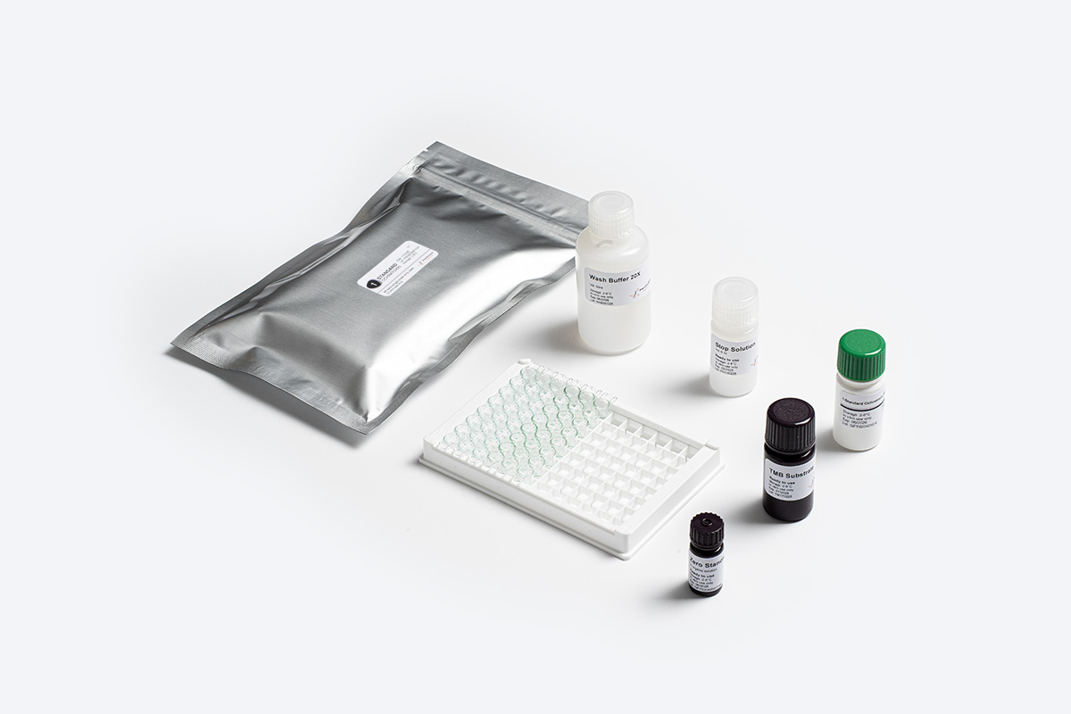 Prognosis Biotech 1-Standard Ochratoxin standard micotossine
