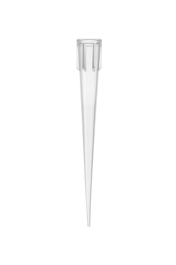 FL MEDICAL Promed 28057 Puntale Beckman 100-1000 ul trasparente