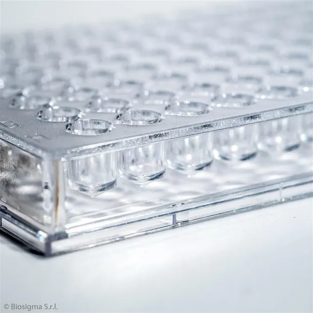 Biosigma BSD011 micropiastra 96 pozzetti fondo V sterile