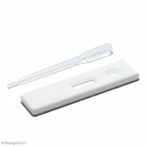Biosigma BSD704 test rapido metanfetamina urine 500 ng/ml