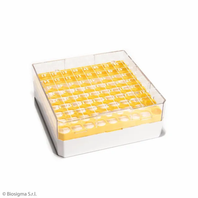 Biosigma CryoGen BSM58061B/G scatola criogenica 81 posti