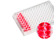 Biosigma ClearLine CL300NT piastra 6 pozzetti non trattata