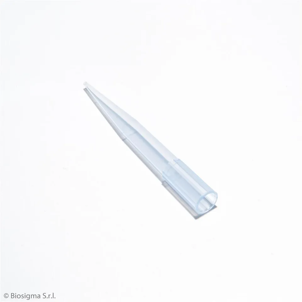 Biosigma BSR067 puntali blu 100-1000 µl micropipetta