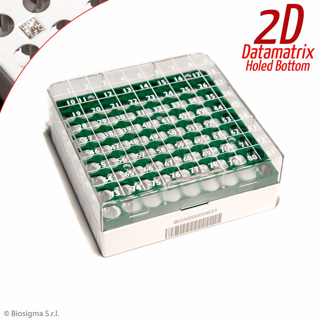 Biosigma CryoGen BSM580612D/V criobox 81 posti 2 ml verde