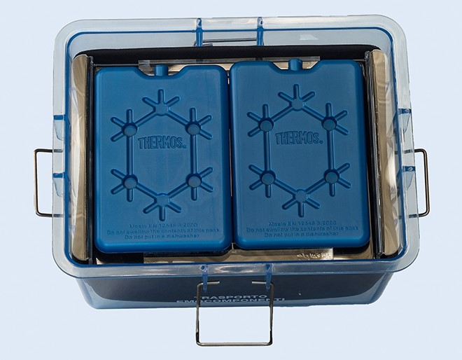 Biosigma BS4004 busta trasporto emoderivati 540x520 mm
