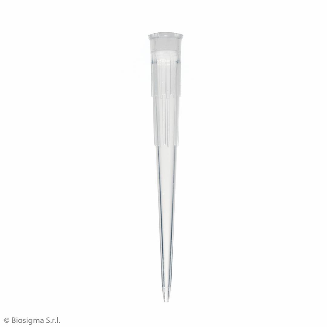 Biosigma BSR013 puntali Oxford Short 10-200 µl sterili 5 pezzi