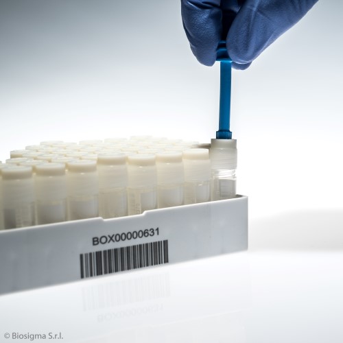 Biosigma CLEARLine criobox policarbonato per tubi 2D