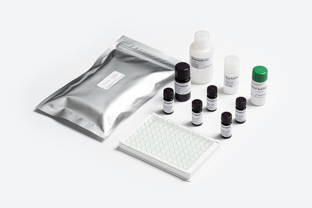 Prognosis Bio-Shield B1 5 test micotossine