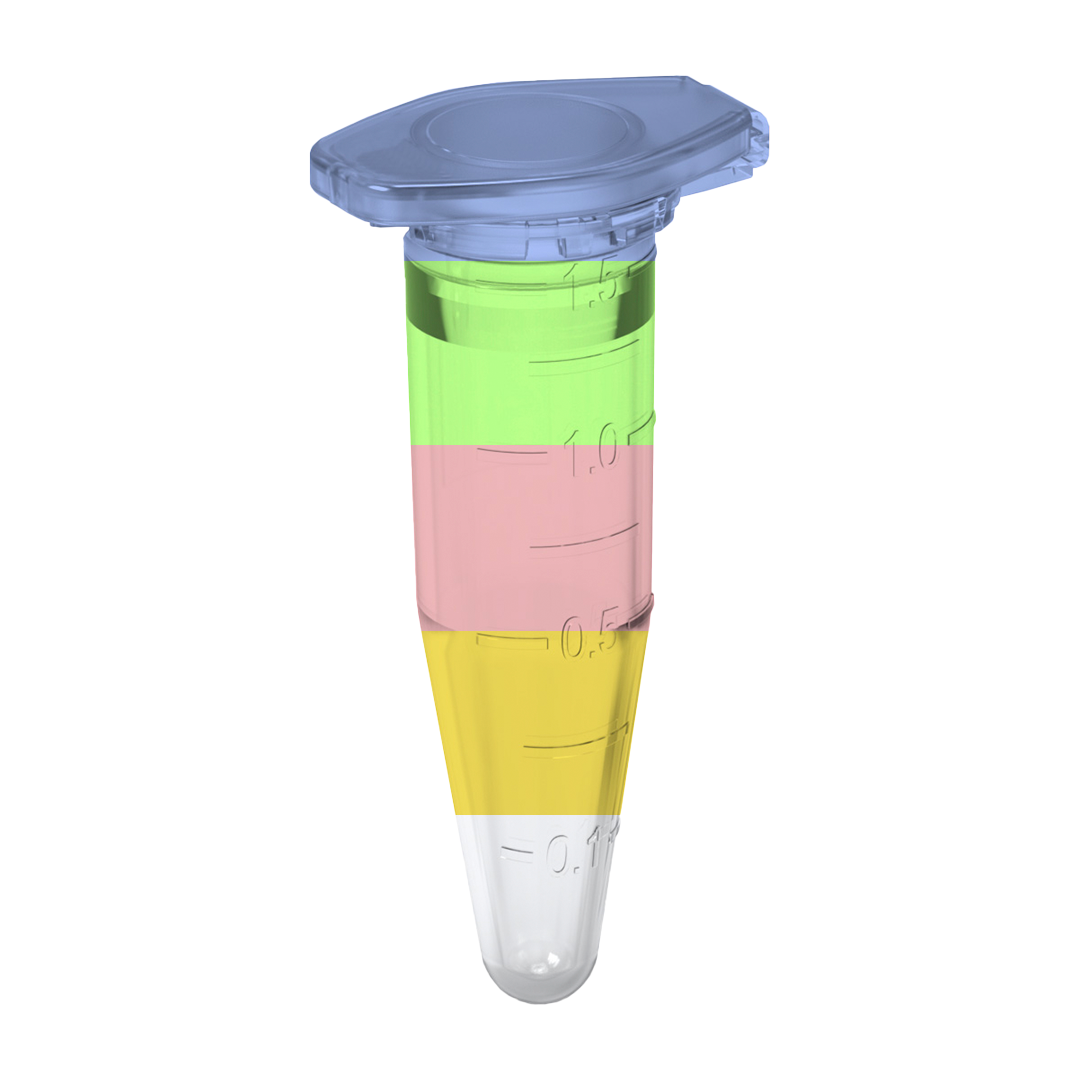Biosigma BSA026 microprovette 0,5 ml neutre graduate