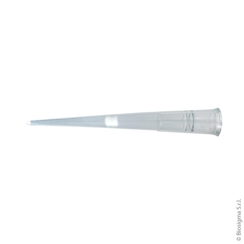 Biosigma 014210CL puntali filtro 20 µl sterili 960 pezzi