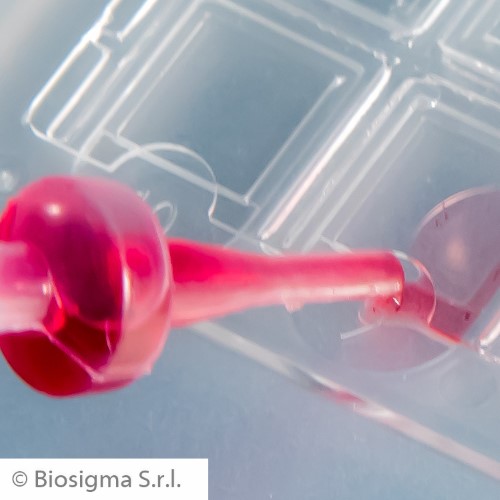 Biosigma Fast-Read 102 vetrini urine 10 camere 7 µl
