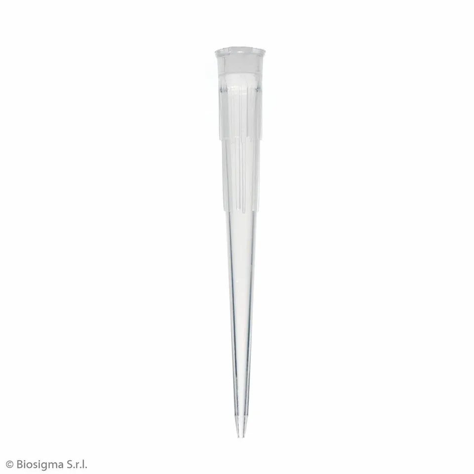 Biosigma BSR013 puntali Oxford Short 10-200 µl sterili 5 pezzi