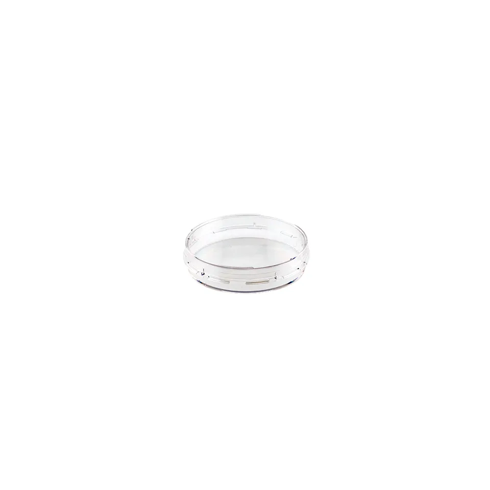 Biosigma ClearLine CL901 piastra coltura 100 mm trattata TC