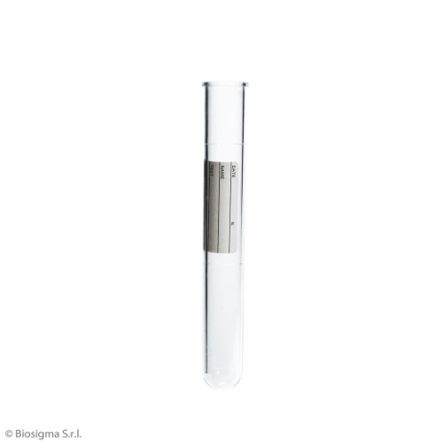 Biosigma BSP077 provetta 5 ml polistirene graduata