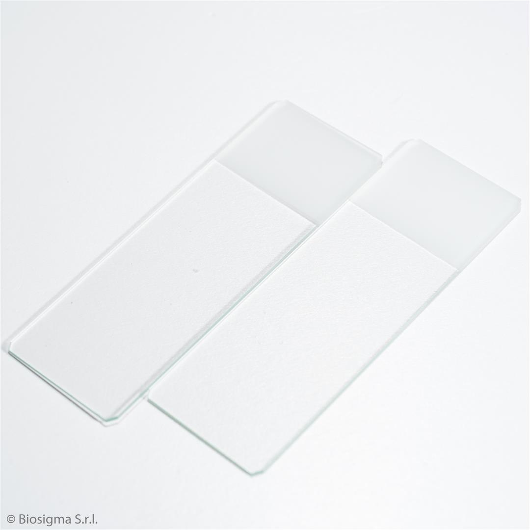 Biosigma VBS656 vetrino microscopio 26x76 mm molato