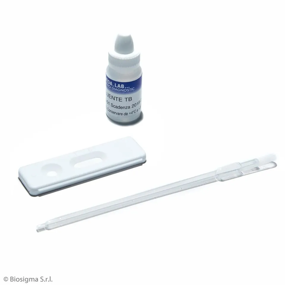 Biosigma BSD594 test rapido anticorpi tubercolosi IgA IgG IgM