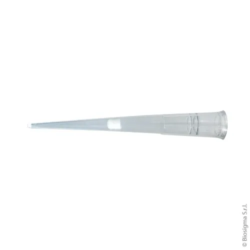 Biosigma 035220CL puntali filtro 20 µl sterili 960 pz