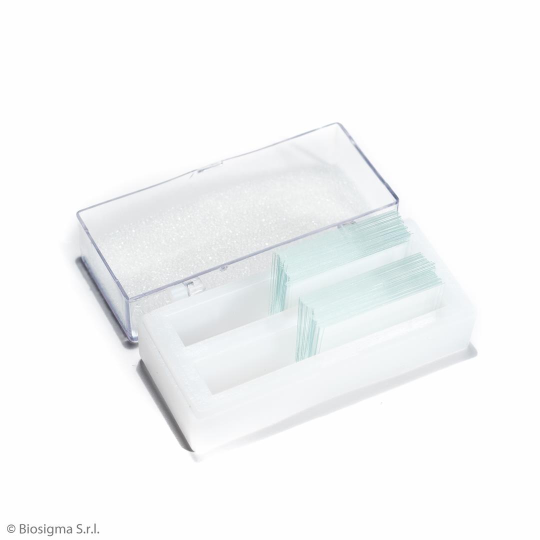 Biosigma VBS638 coprivetrino 24x32 mm vetro
