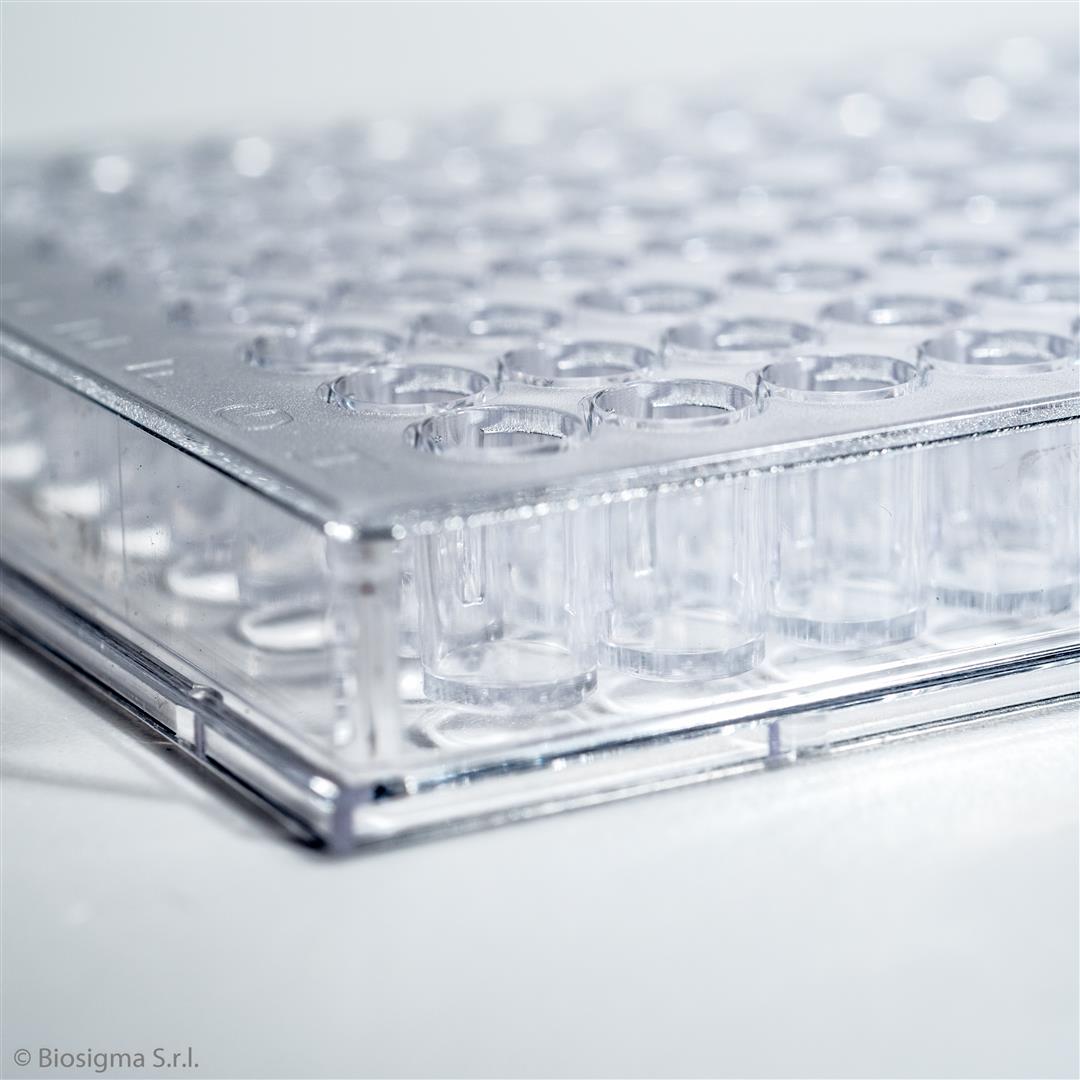 Biosigma BSD003 micropiastra 96 pozzetti fondo piatto