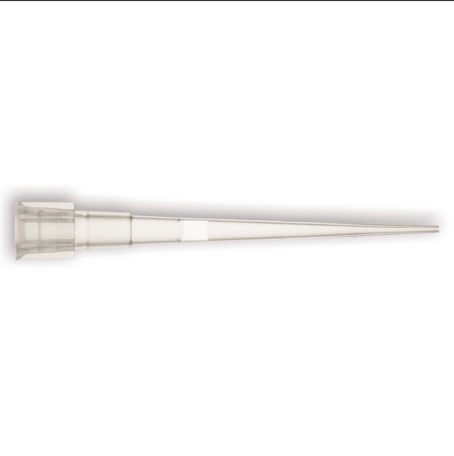 Biosigma Clearline 015020CLH puntali con filtro universali