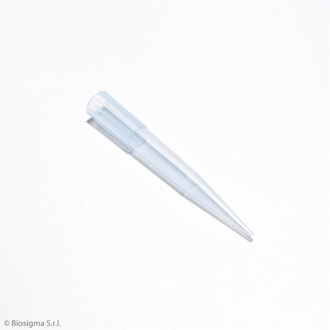 Biosigma BSR067 puntali blu 100-1000 µl micropipetta