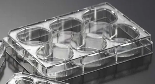 Biosigma ClearLine 131028C piastra coltura 6 pozzetti sterile 100 pz