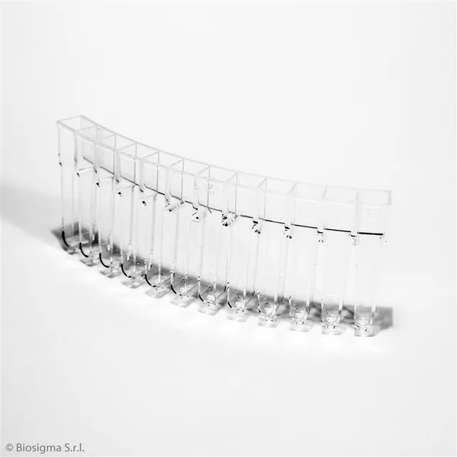 Biosigma BSA84 segmenti multicells 12 pozzetti PMMA