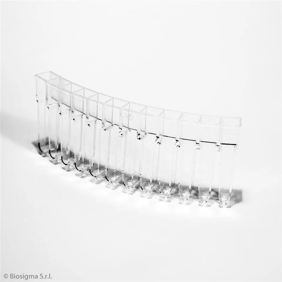 Biosigma BSA84 segmenti multicells 12 pozzetti PMMA
