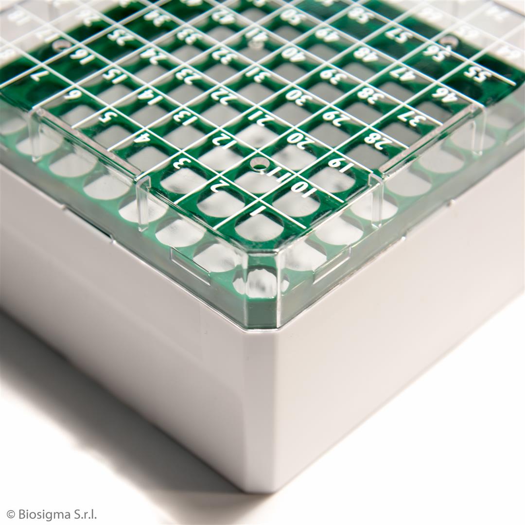 Biosigma CryoGen BSM58025B1D Box 25 posti policarbonato