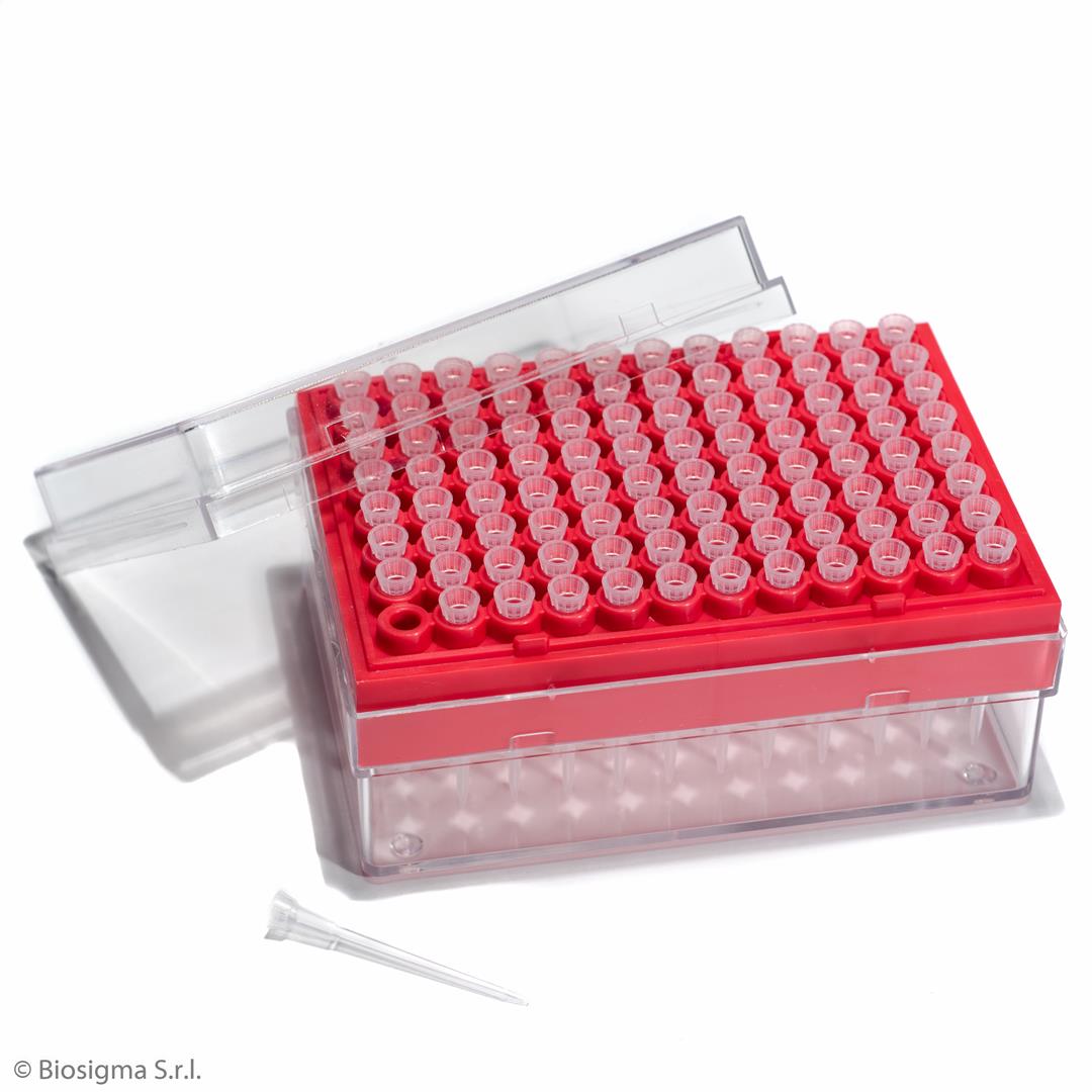 Biosigma BSR063 puntali neutri 0-10 µl rack 96 pz