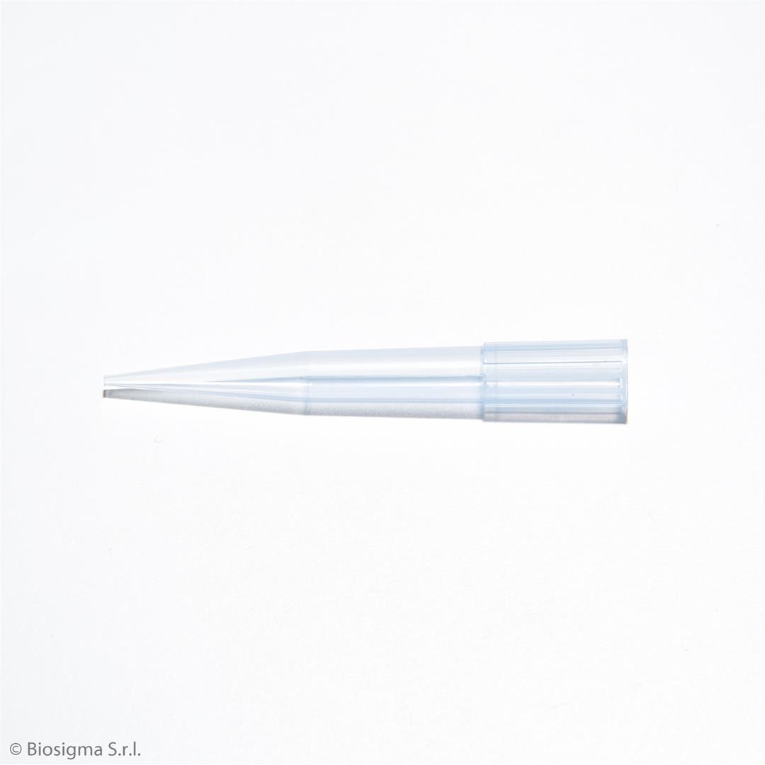 Biosigma BSR067 puntali blu 100-1000 µl micropipetta