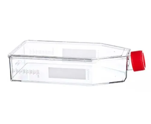 Biosigma 661175 fiasca coltura 182 cm² tappo filtro sterile