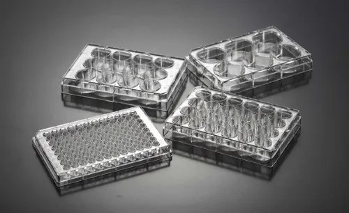 Biosigma CLEARLine 131019C piastra 48 pozzetti sterile