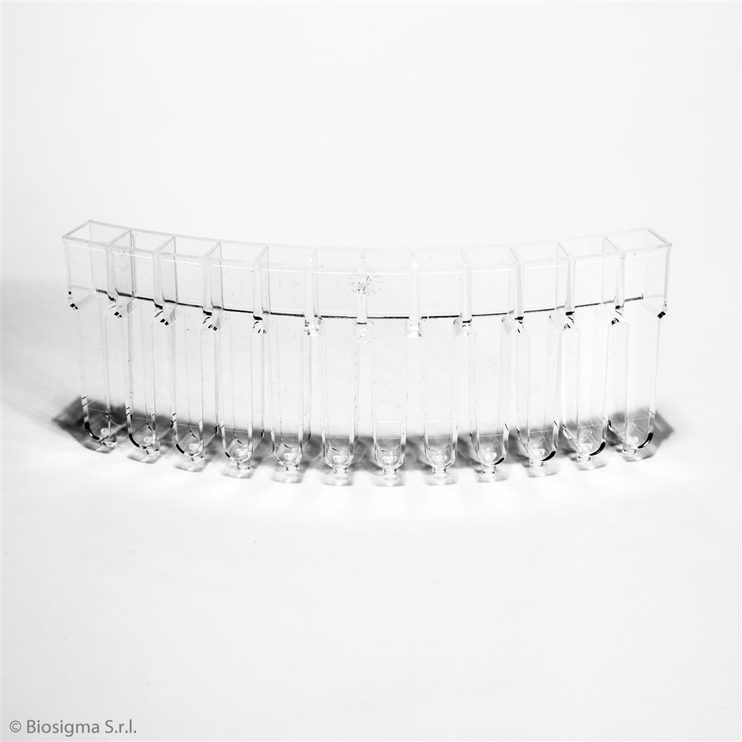 Biosigma BSA84 segmenti multicells 12 pozzetti PMMA