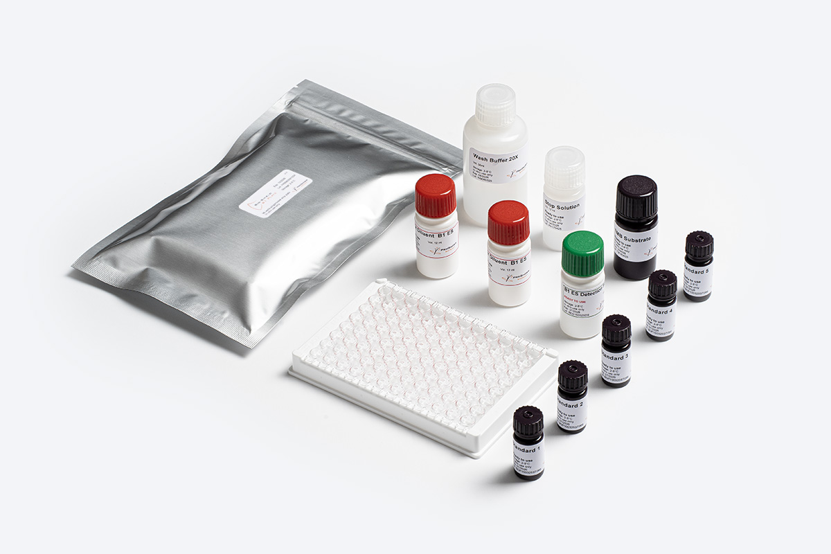 Prognosis Bio-Shield Aflatoxin B1 ES kit ELISA extrasensibile